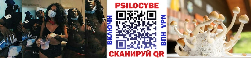 что такое   Калуга  Галлюциногенные грибы Magic Shrooms 